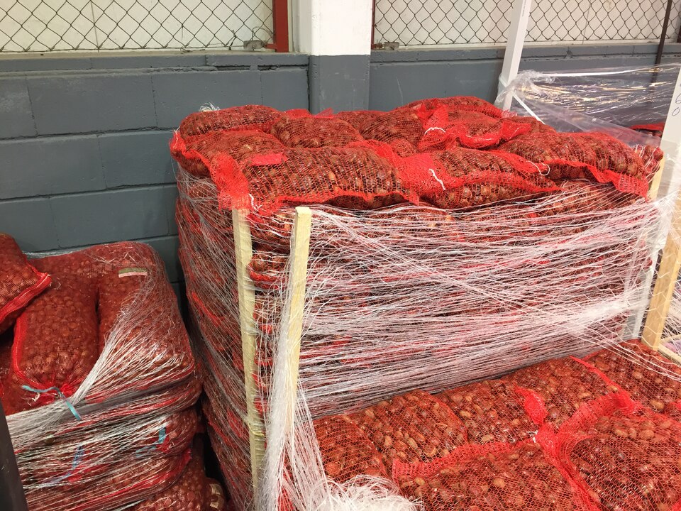 Palés de castañas en sacos de red roja